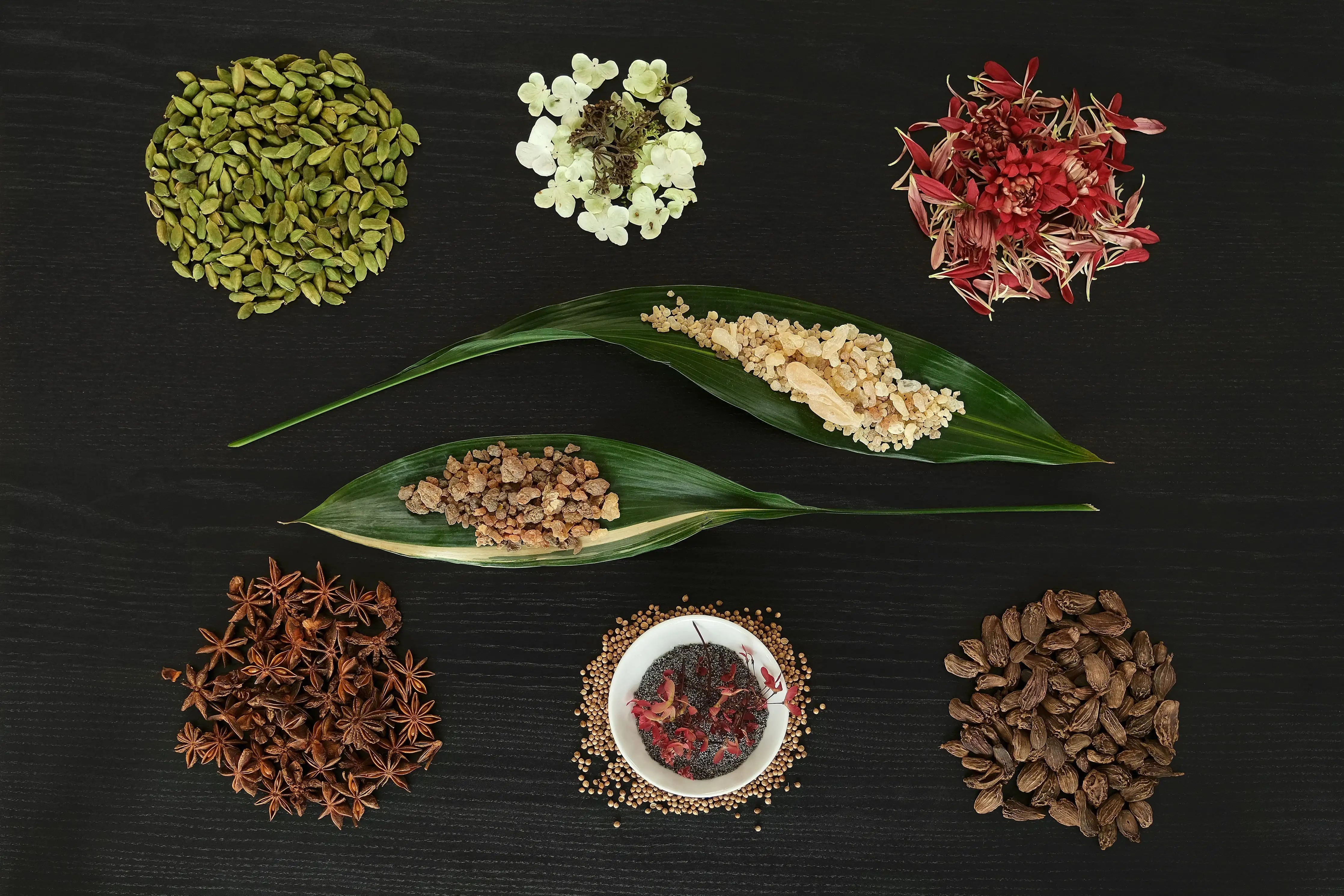 No. 1 Soul Happy Passionary Shop