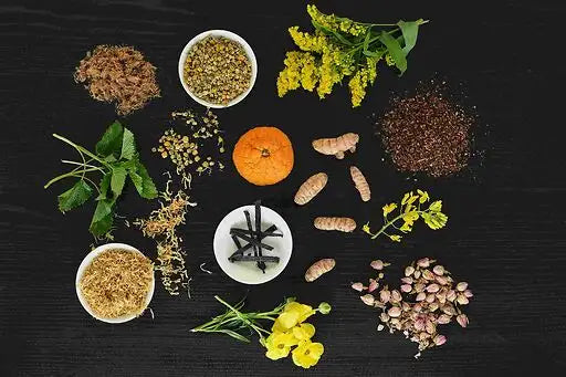 No. 3 Quiet Getaways Passionary Shop