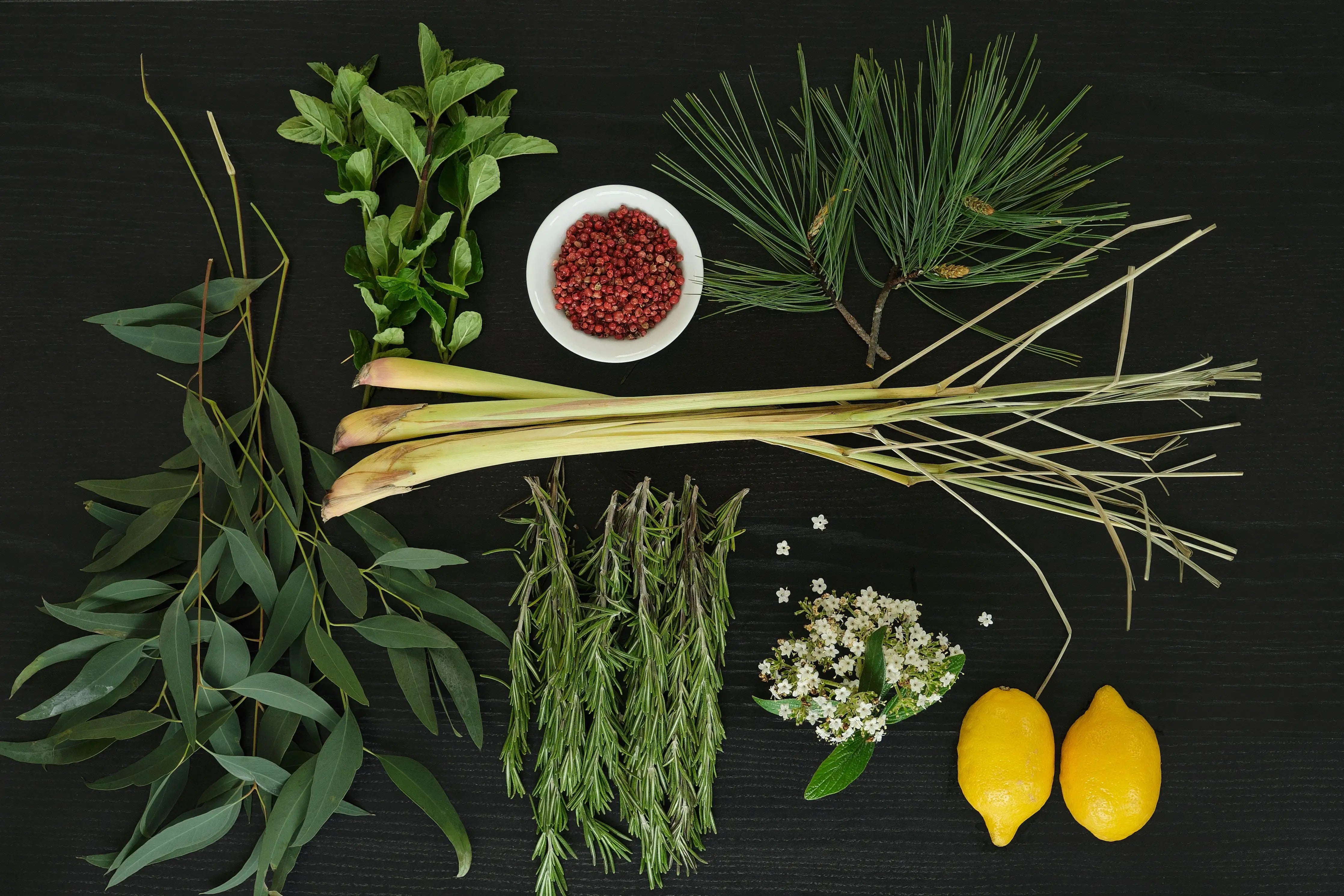 No. 4 New Moments Passionary Shop