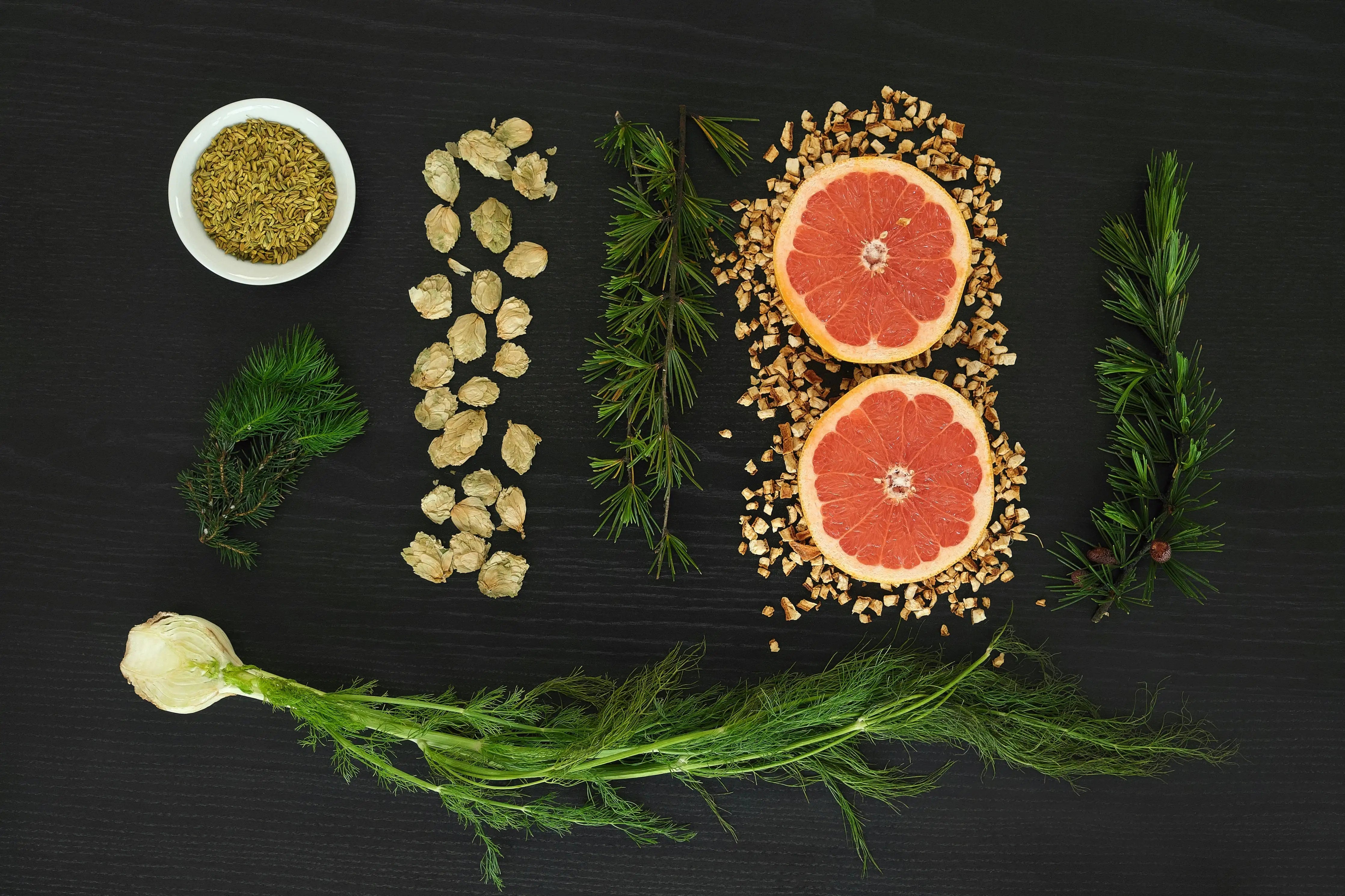 No. 5 Best Yet Passionary Shop