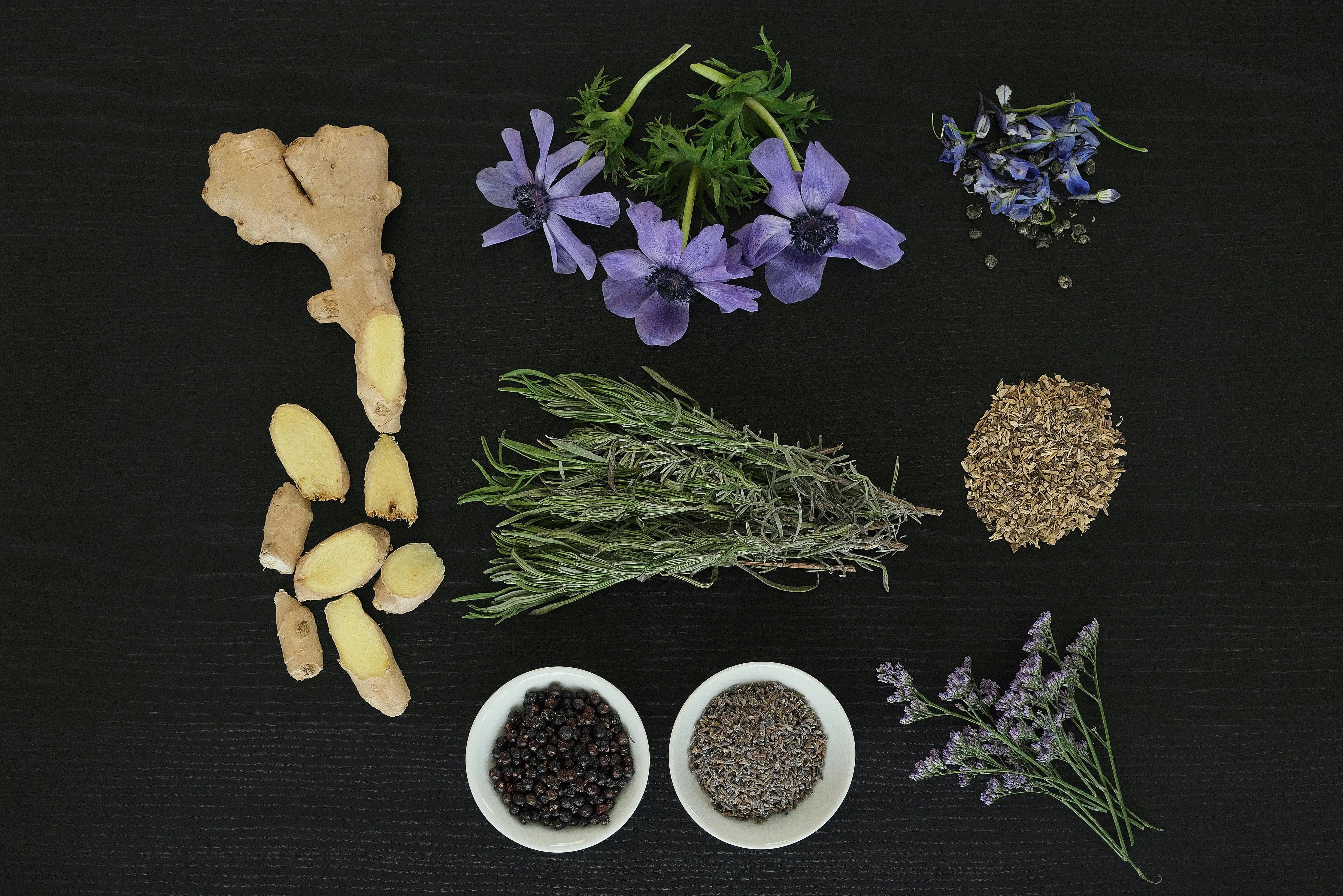 No. 6 Awakened Within Passionary Shop