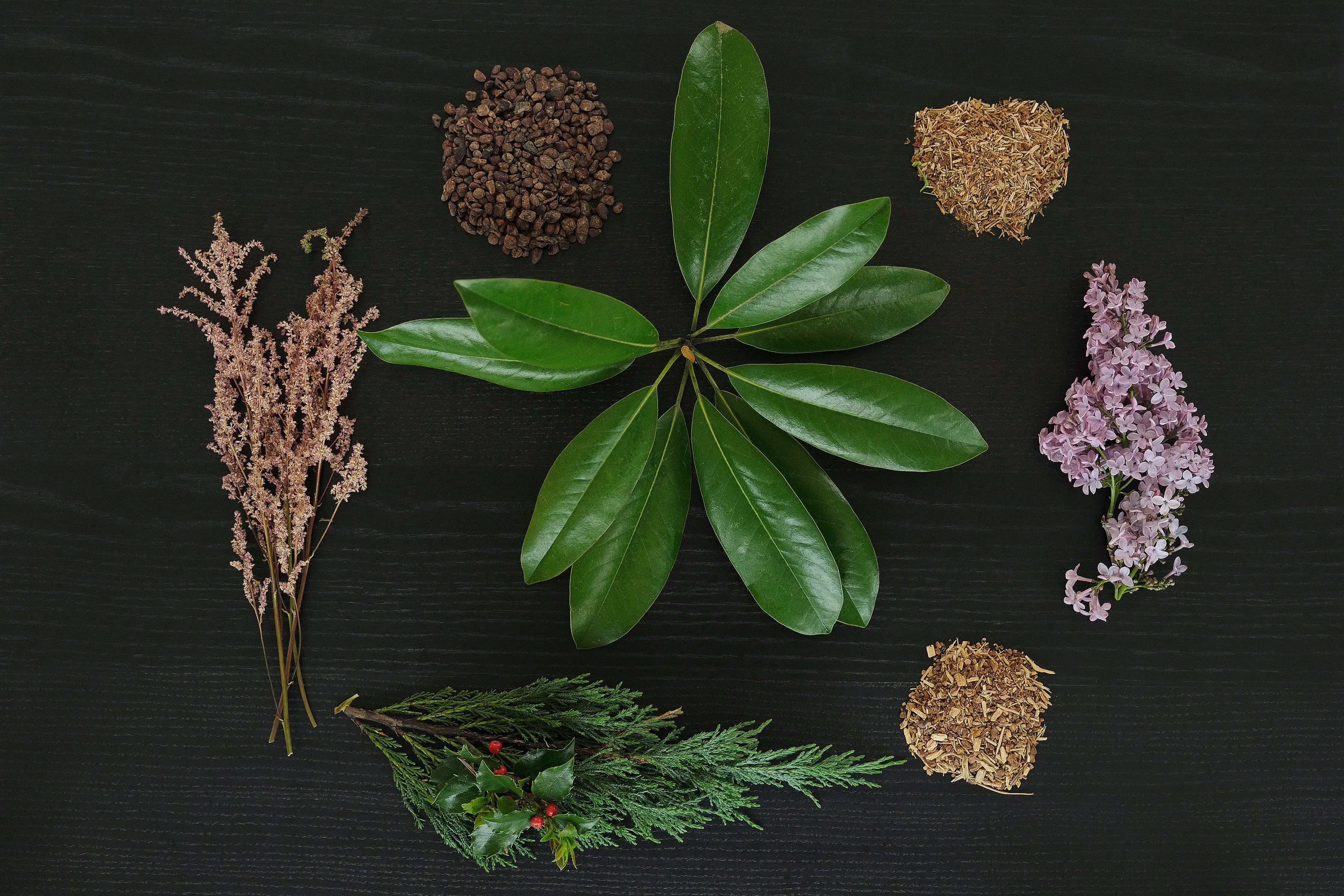 No. 7 Happy Medium Passionary Shop